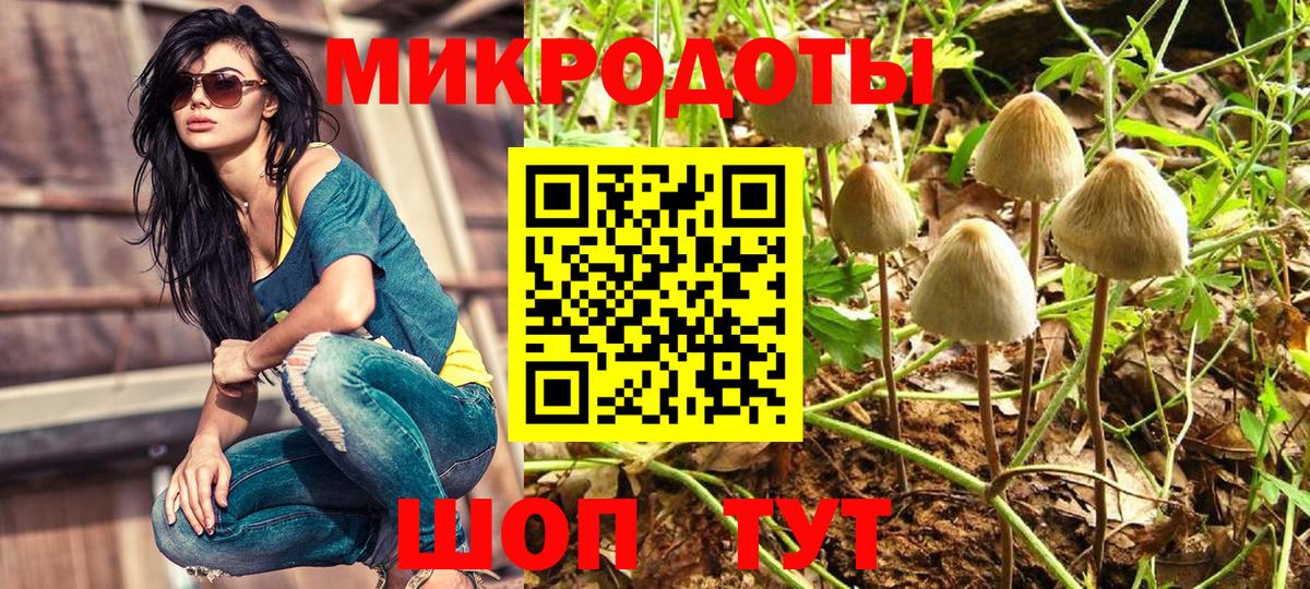 где найти наркотики  Псилоцибиновые грибы Psilocybine cubensis  Артёмовский  Вход с VPN  Галлюциногенные грибы мицелий 