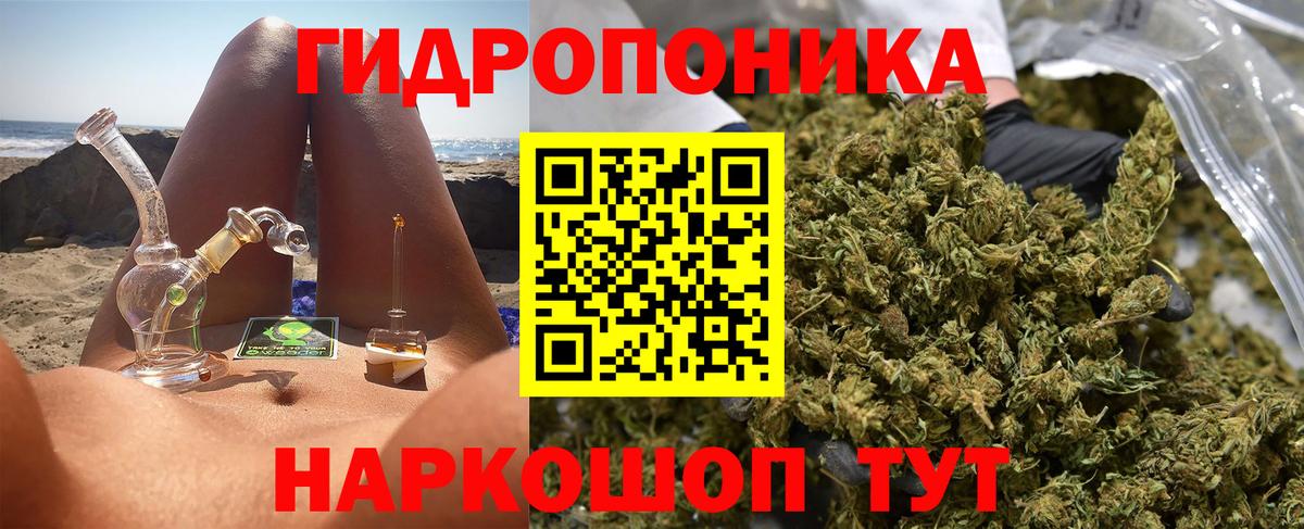 Канабис планчик Артёмовский
